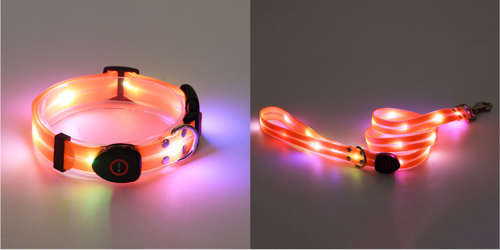 Rechargeable LED Collar and Nylon Leash