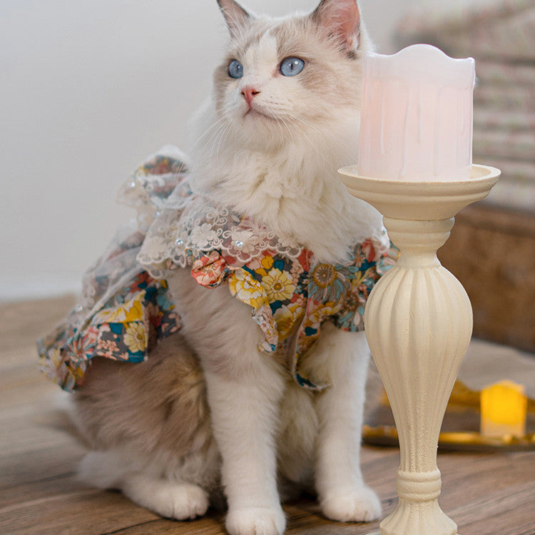 Anti Dropping Small And Medium-Sized Dog Dress