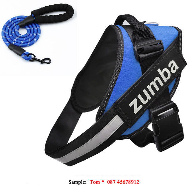 Personalized Reflective Adjustable Dog Harness And Leash Set