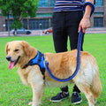 Sponge Filled Dog Chest Strap