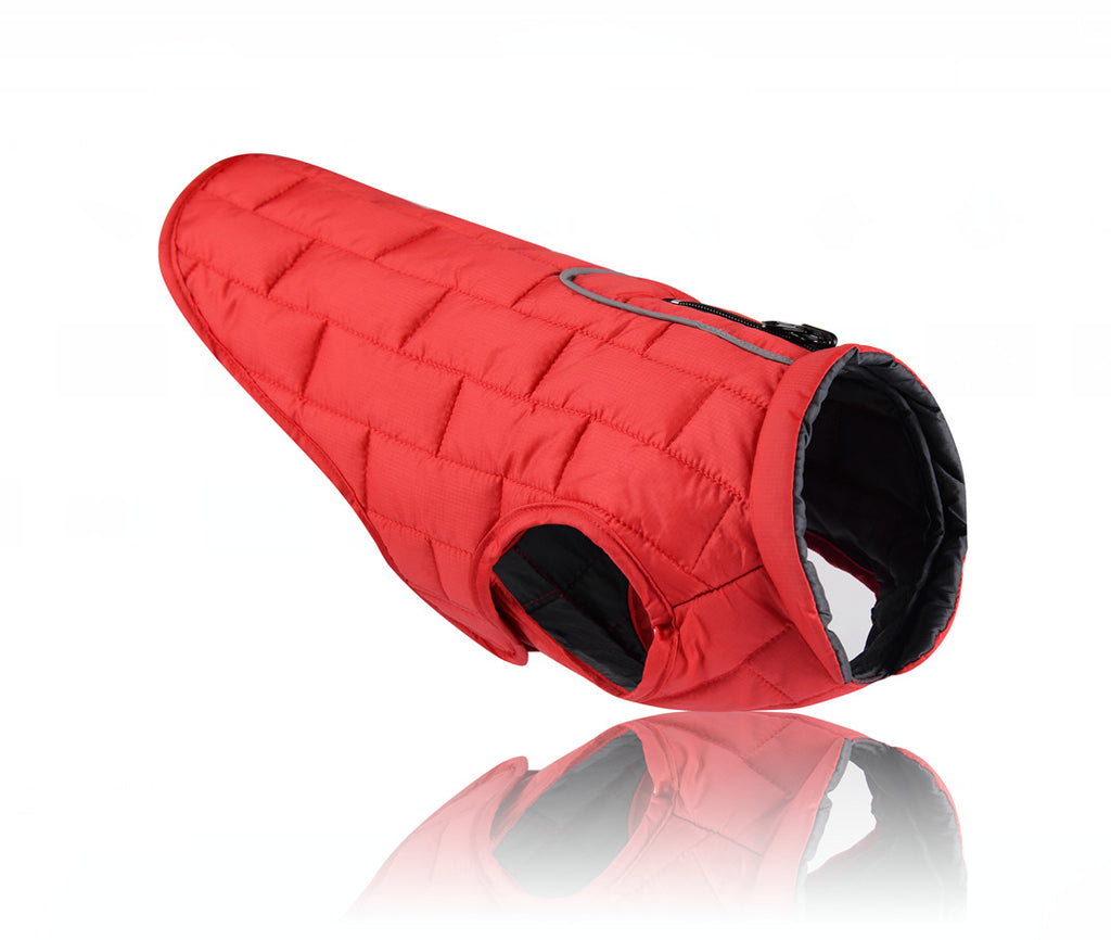 Autumn Winter Double Color Dog Clothes