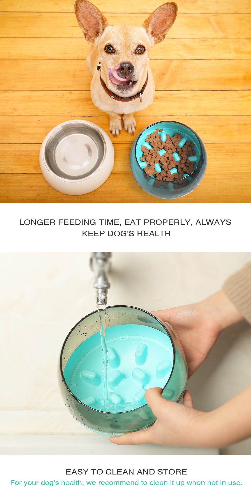Slow Food Bowl