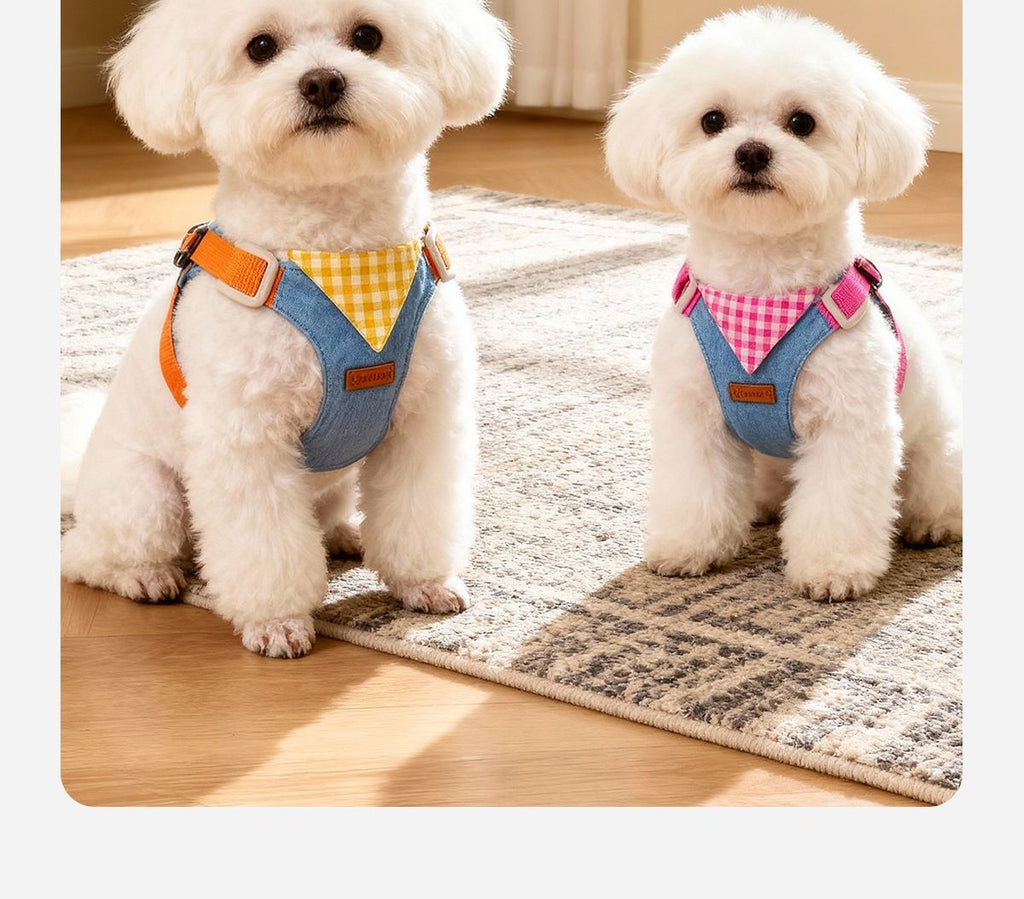 Not Tight Puppy Leash Chest Strap