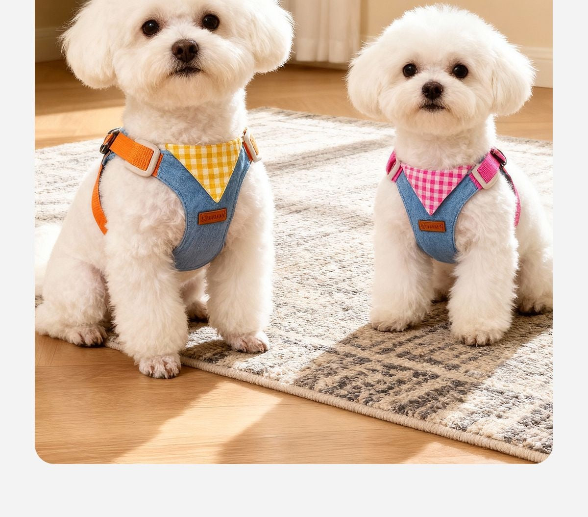 Not Tight Puppy Leash Chest Strap