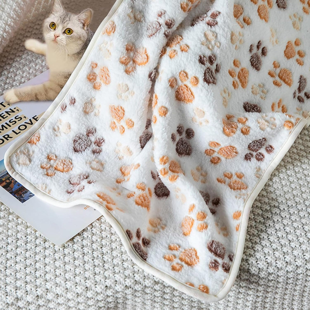 3-Piece Set Of Beige Dog Paws