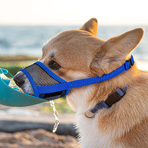 Medium Dog Muzzle for Biting, Barking, and Eating