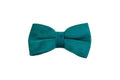 Peacock Blue Velvet Pet Neck Alloy Buckle Collar