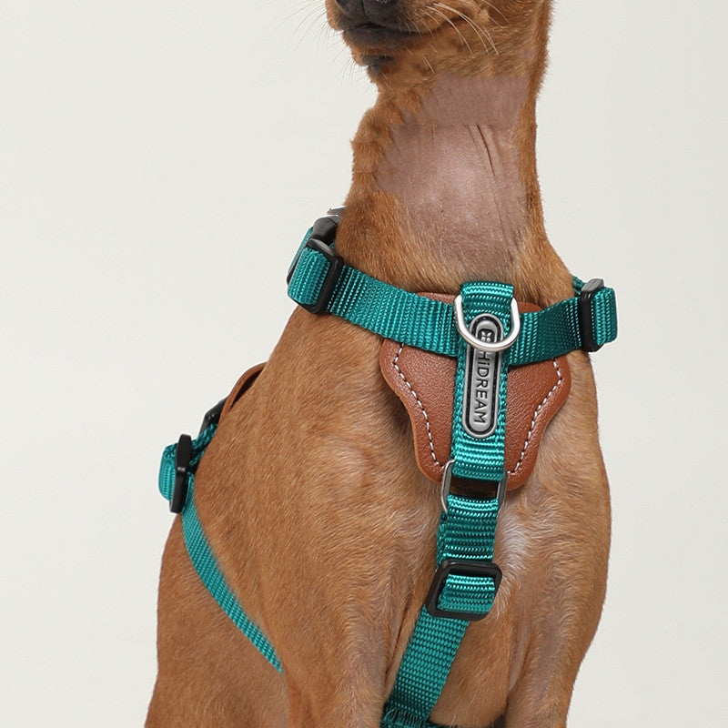Dog Leash Explosion-Proof Puppies Type