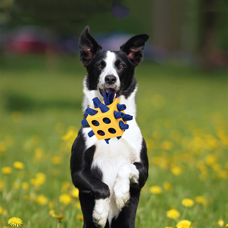 Dog Cube Teething Toy