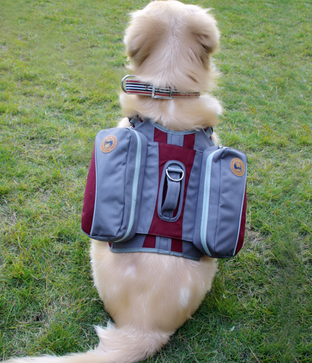 Pet Self-Packing Out Portable Bag Detachable Chest Back Travel Bag