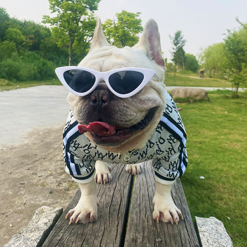 Zip Up Stretchy Dog Jacket