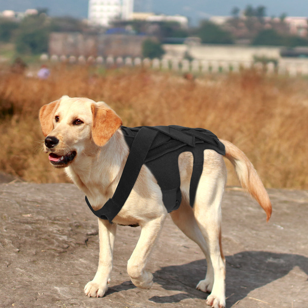 Dog Back Support Vest