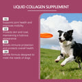 Collagen Drops For Dogs