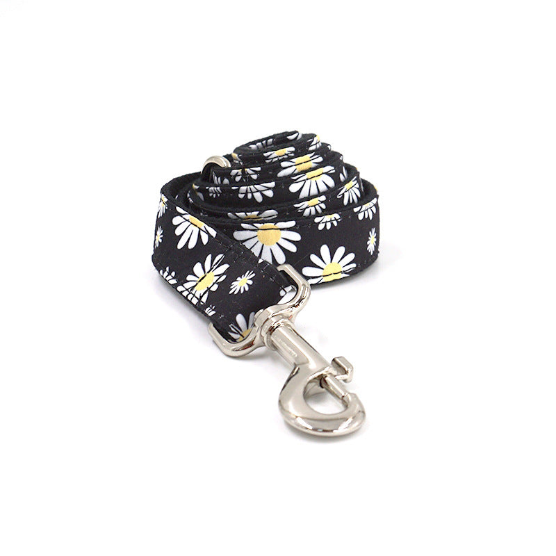 Engraved Dog Collar and Leash Set