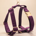 Velvet Pet Dog Collar And Harness Set