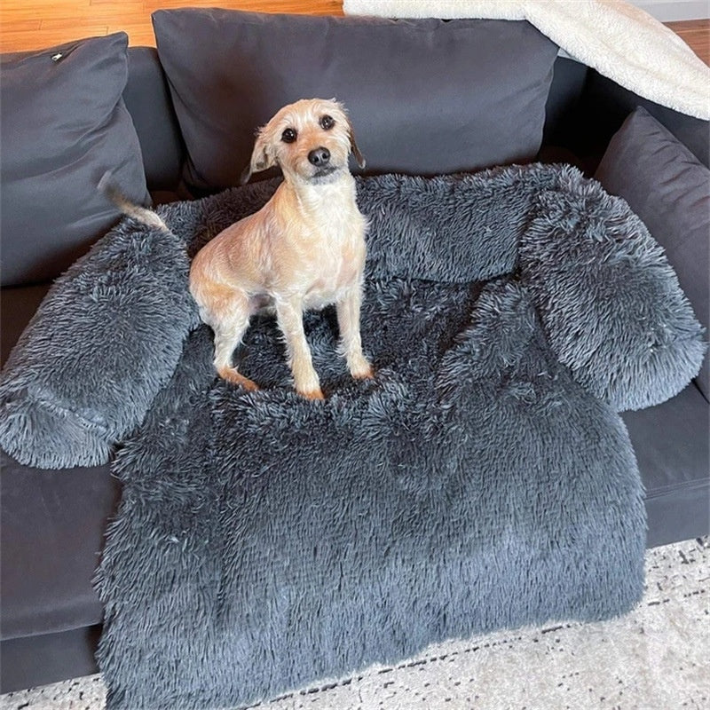 Everyday Rest Dog Bed