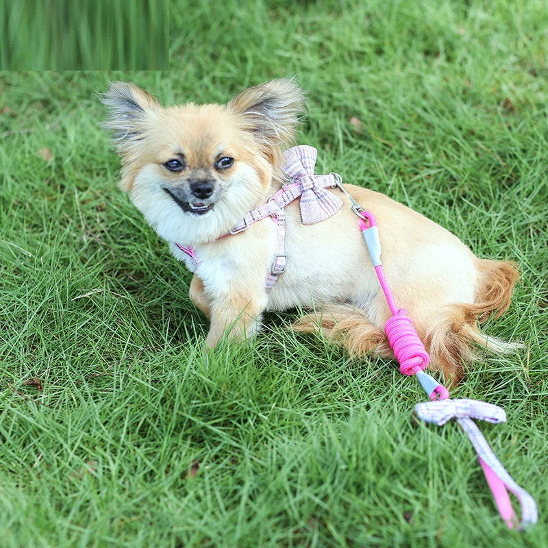 Small And Medium-Sized Leash Pet Dog Supplies