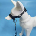 Short-Handled Nose-Ring Dog Walking Leash