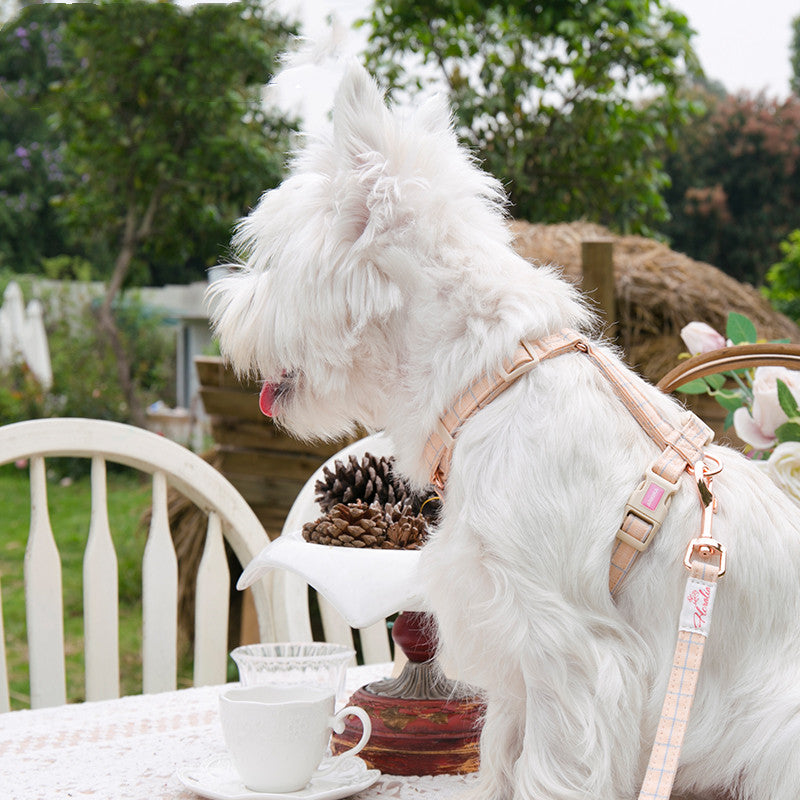 Fashionable And Simple Pet Chest Back Lattice Traction Rope