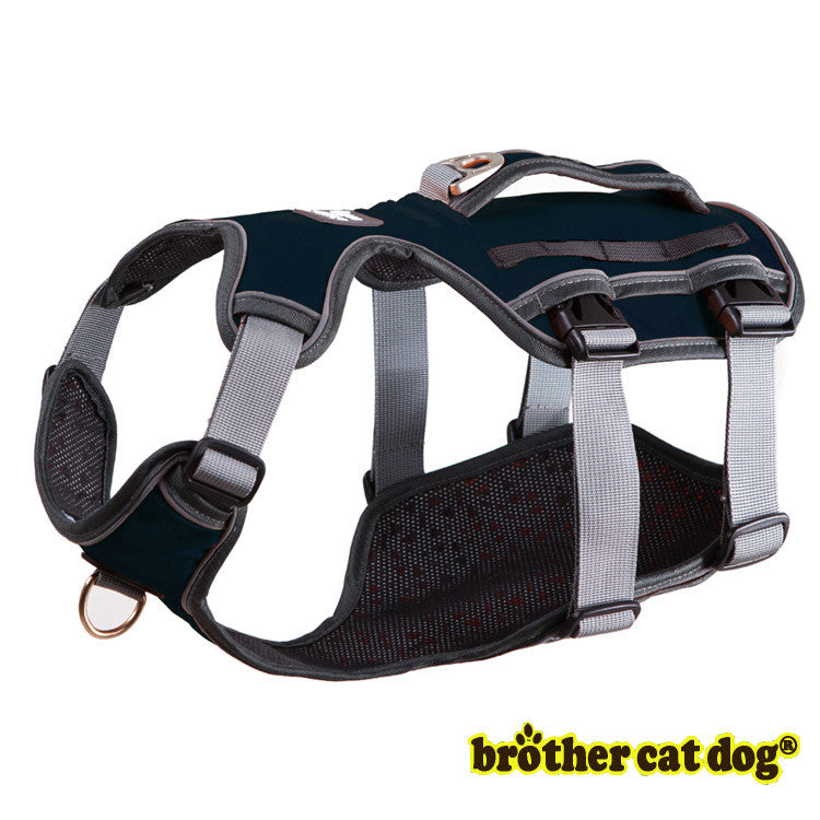 Dog Thoracolumbar Band