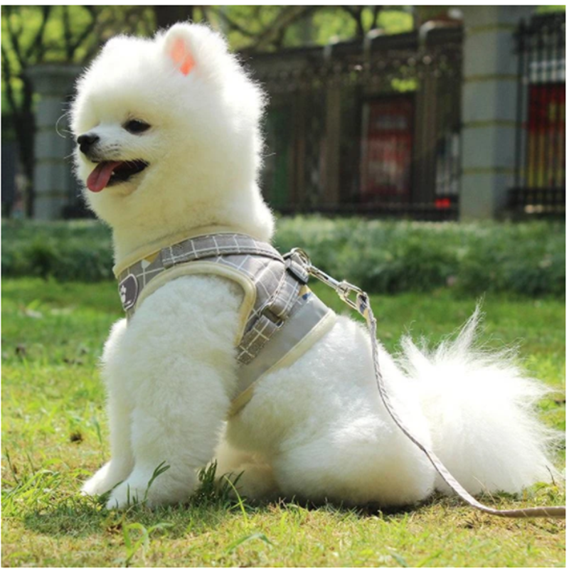 Dog Traction Rope Vest Walking Dog Rope