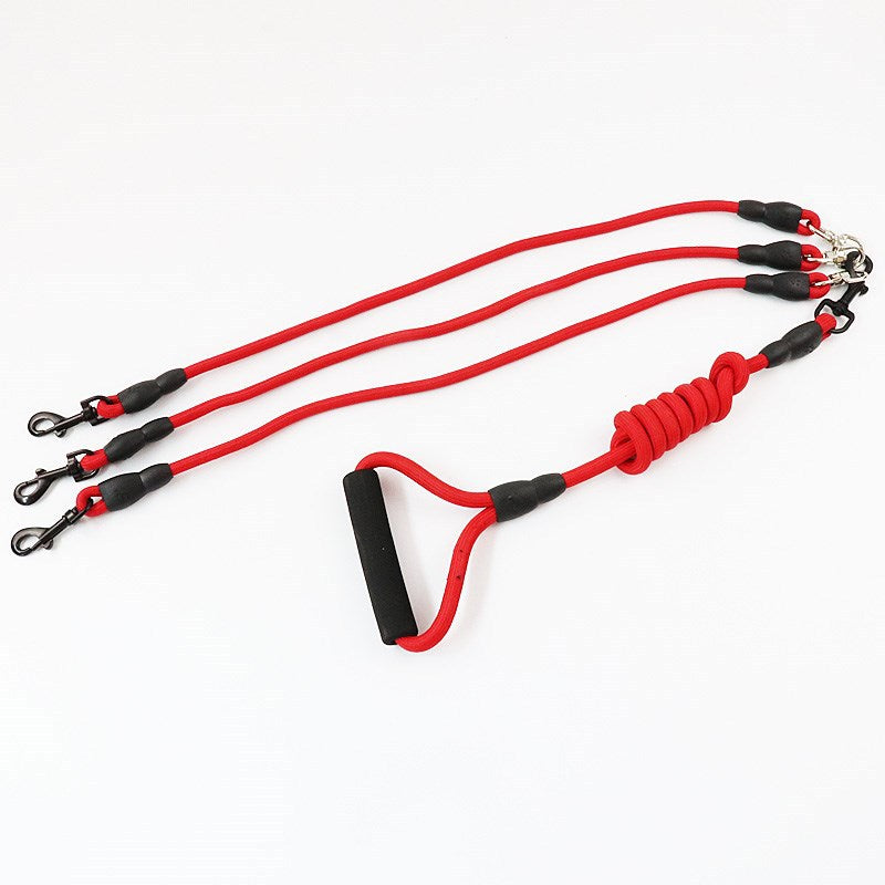One Leash for Three Dogs