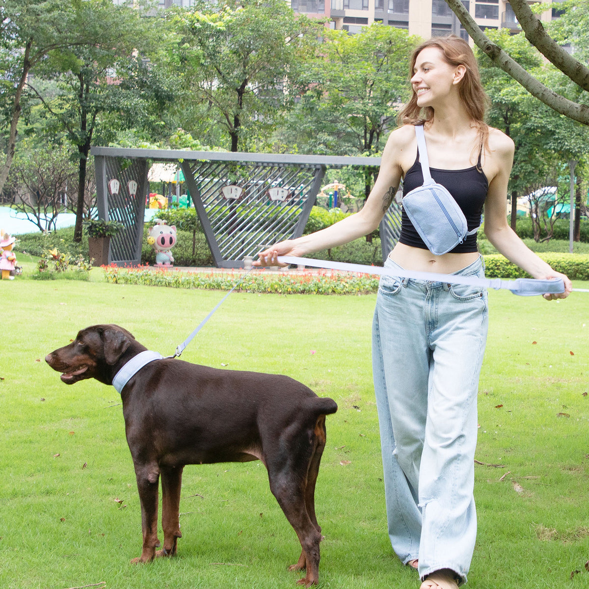 Hand Holding Rope Explosion-Proof Chest Back Suit Widened Pet Collar Mini Schoolbag Dog Stool Bag