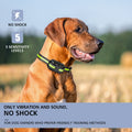 Barking Dog Collar