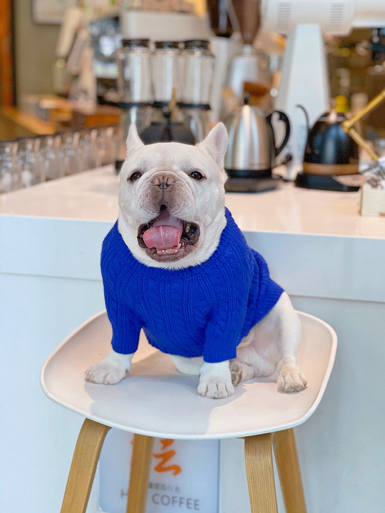 Bichon Corgi Warm And Thick Winter Clothes