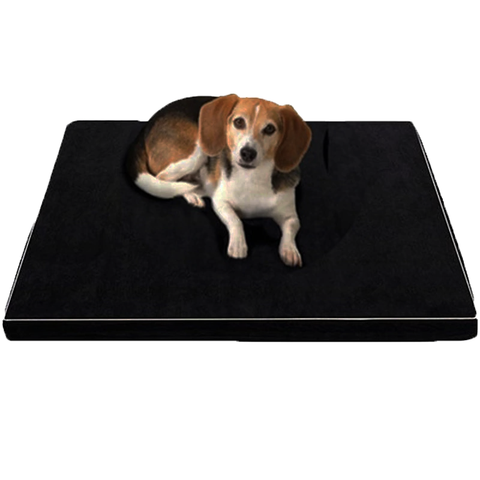 Memory Foam Bed for Large and Elderly Dogs