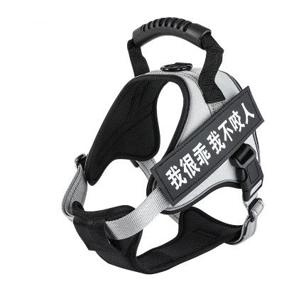 Pet Harness With Chest Adjustment