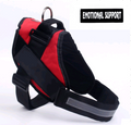 Pet Chest Back Chest Strap Explosion-Proof Dog Leash Big Dog Set Pet Supplies