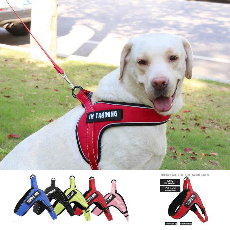 Custom Breathable Dog Harness Vest