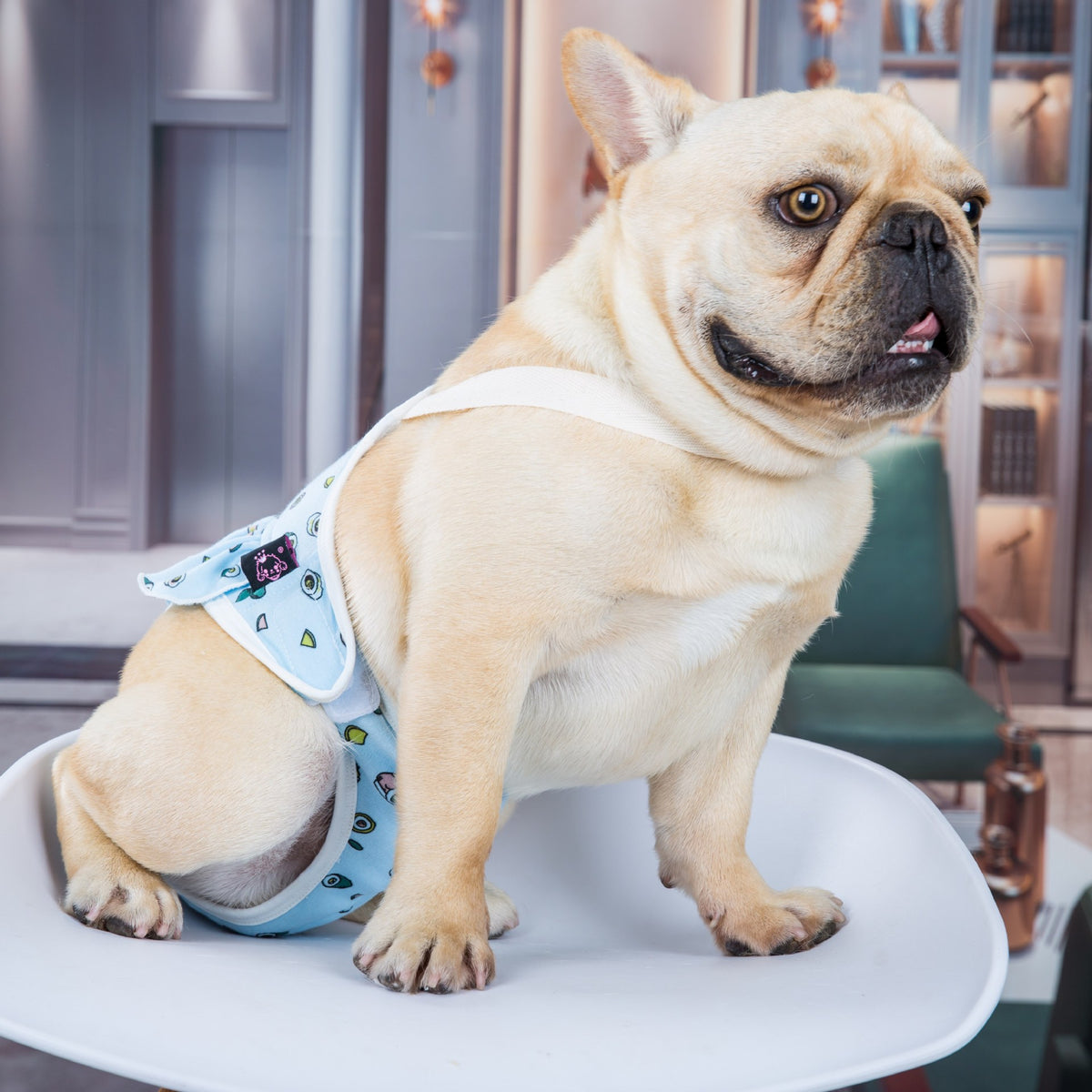 Washable Female Dog Menstrual Safety Pants