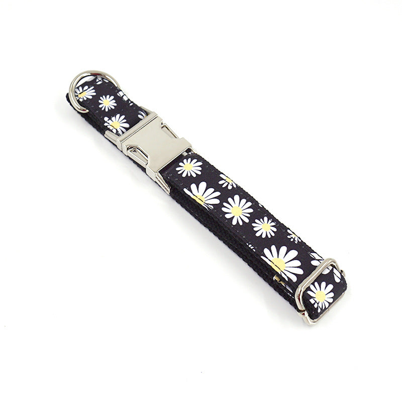Engraved Dog Collar and Leash Set