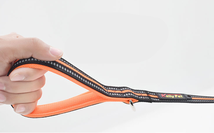 Nylon Retractable Dog Leash