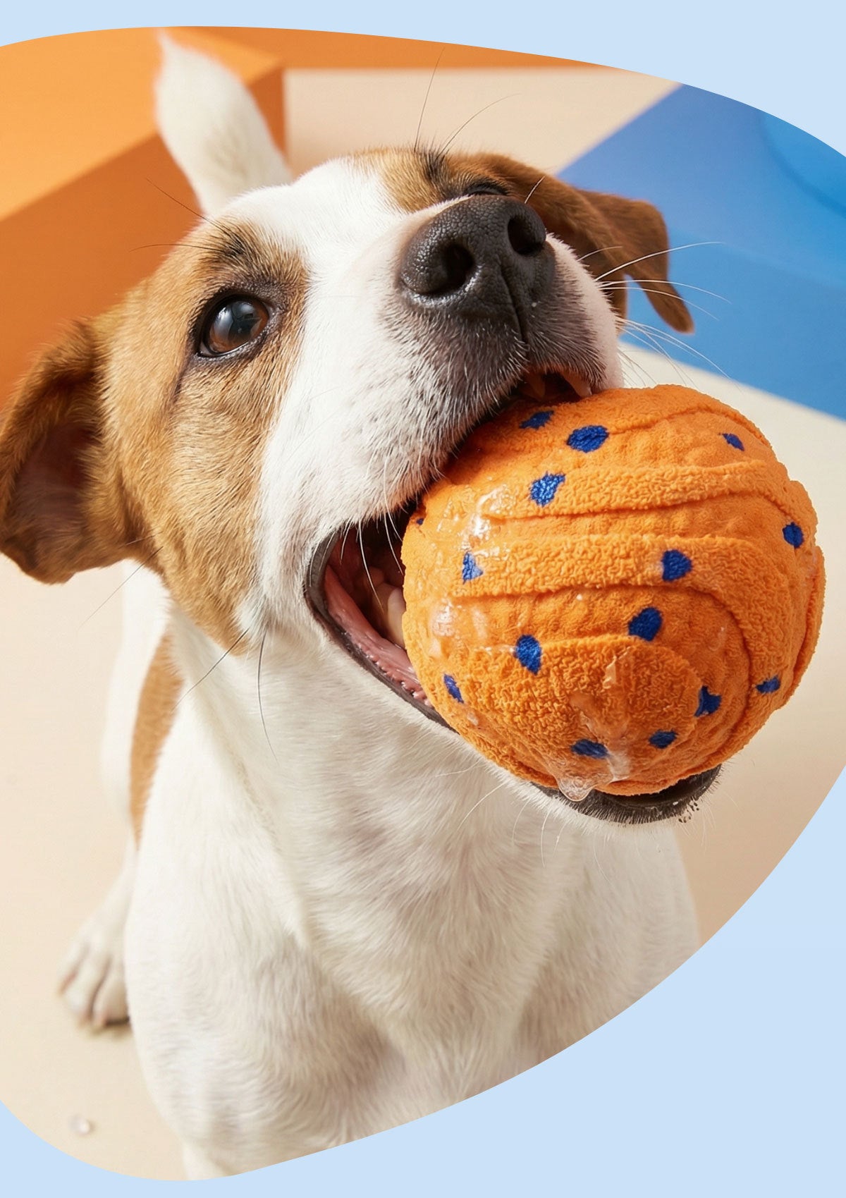 Electric Round Non-Toxic Dog Chew Ball