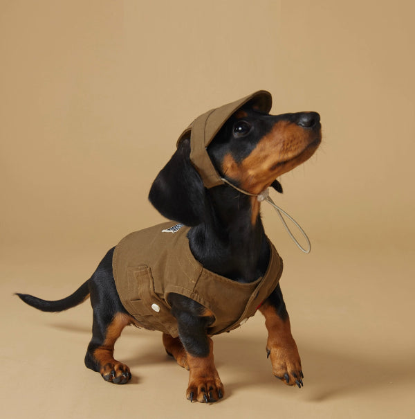 Spring And Summer Pet Sports Vest