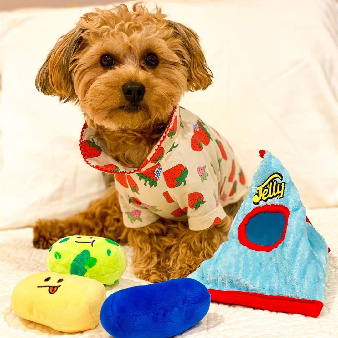 Fashion New Jelly Candy Set Tibetan Food Single Dog Toy Pet Vocal