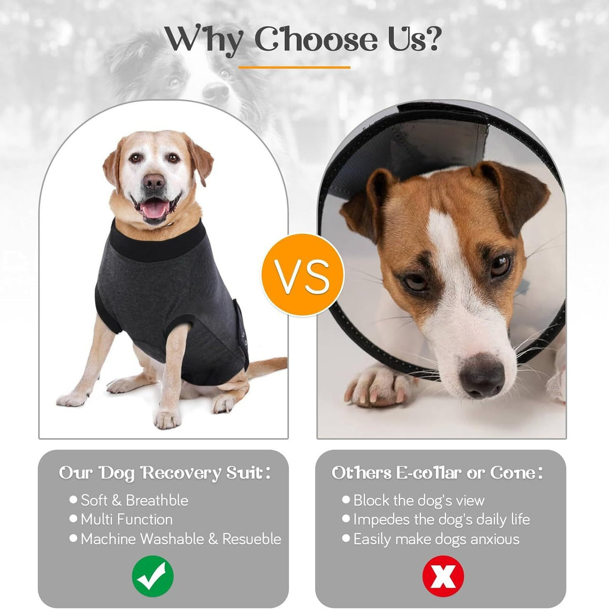 Soft Dog Recovery Suit After Surgery
