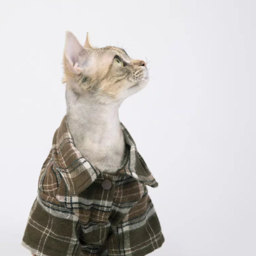 Cool Skin-Friendly Short-Sleeve Summer Cat T-Shirt