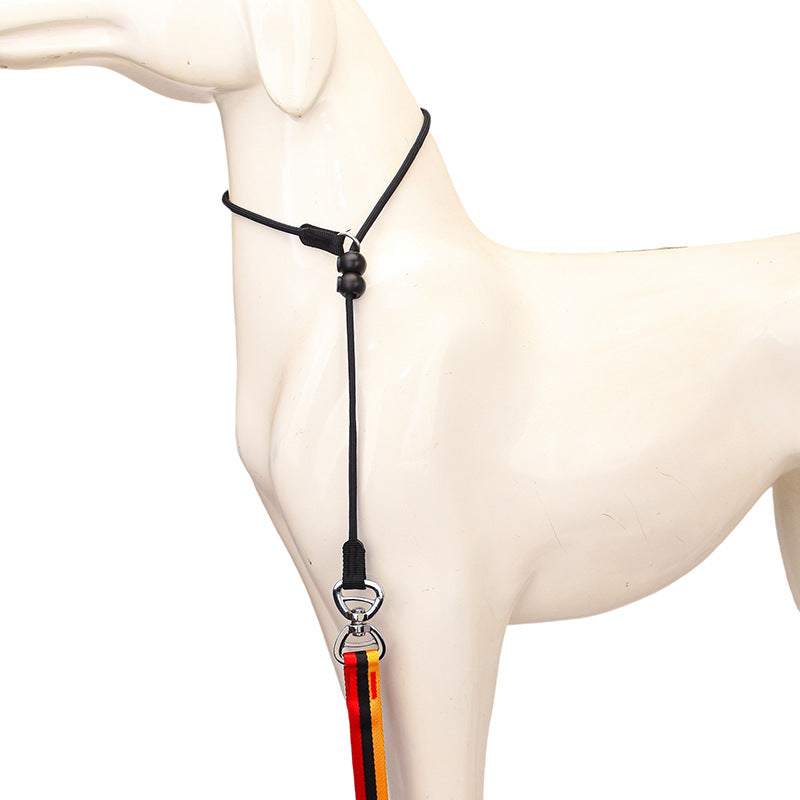 Minimalist Pet Leash Easy-To-Extend Design For Medium And Large Dogs