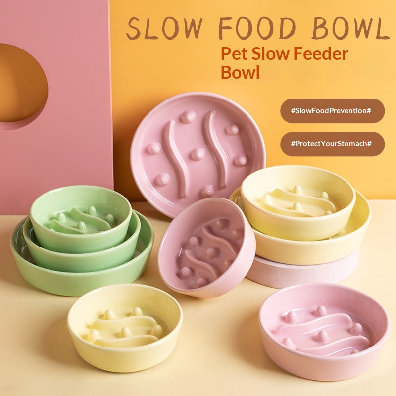 Ceramic Slow-Feeding Pet Bowl
