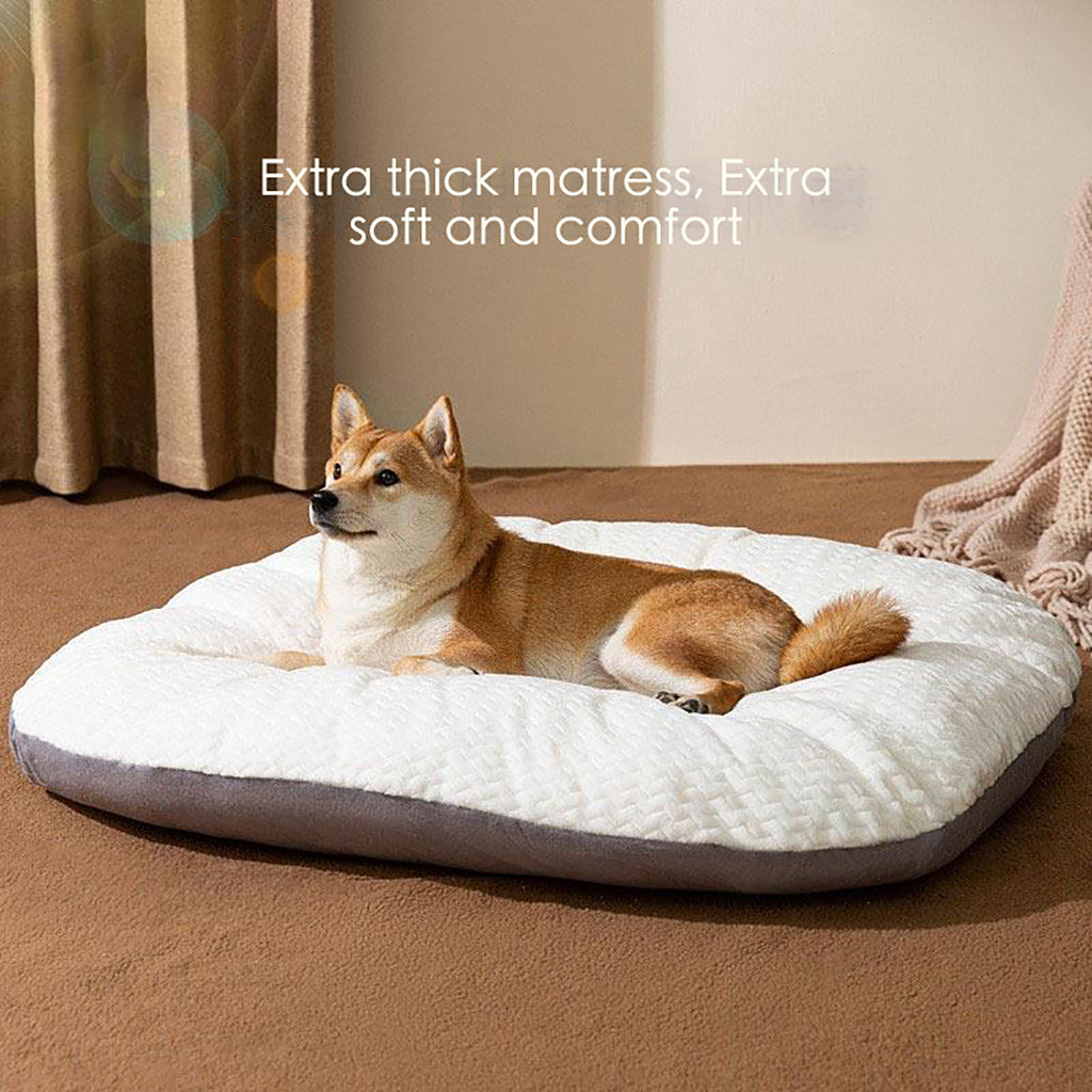 Oval Washable Dog Bed for Large Dogs