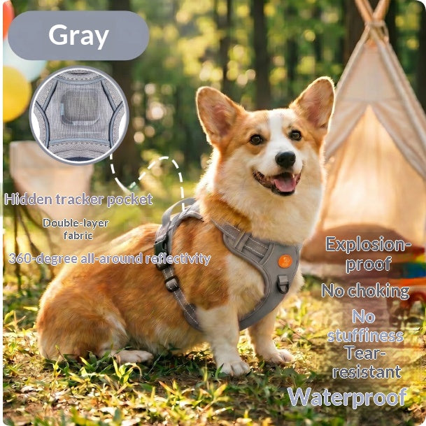 Harness-Style Reflective Dog Leash With Anti-Pull Feature