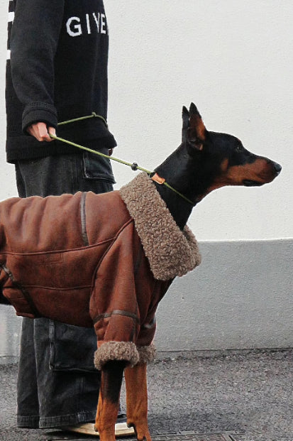 Winter Velvet-Lined Leather Big Dog Coat