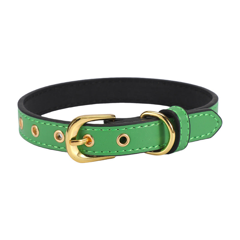 Plain Pet Collar Gold Buckle Pu