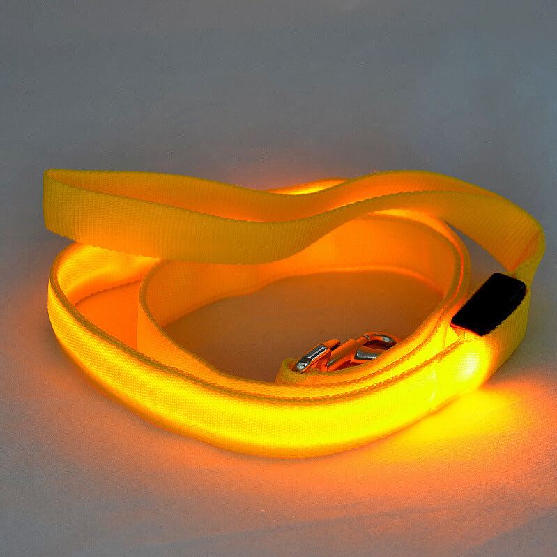Glowing LED Dog Leash