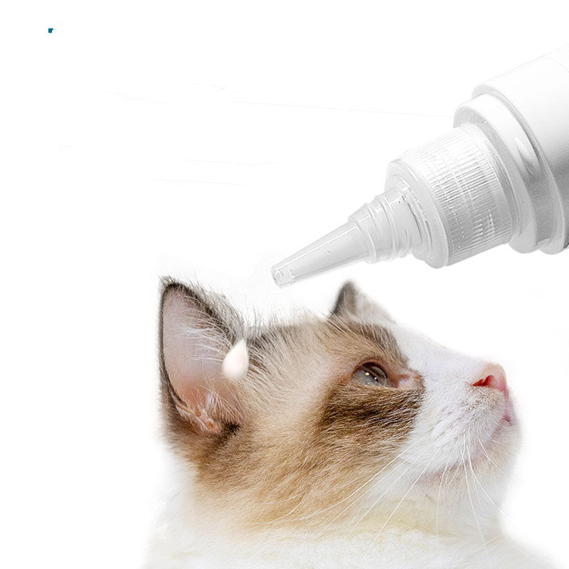 Dogs Use Ear Cleaning To Remove Smelly Ear Mites