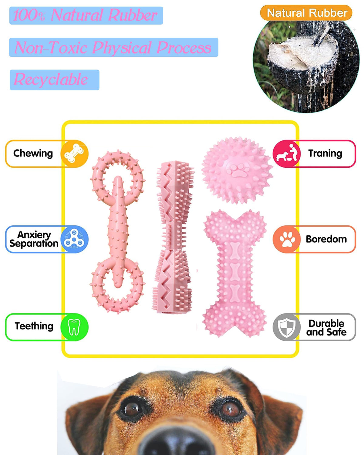 Puppy Teething Chew Toy Set